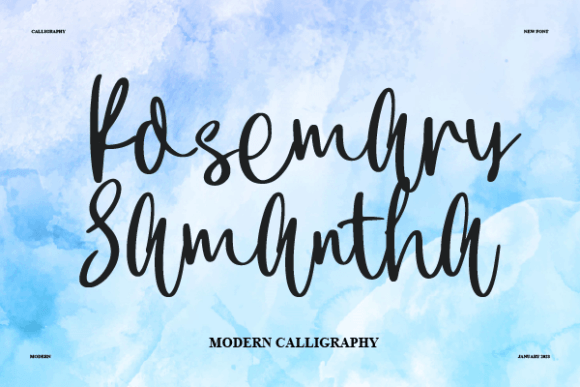 Beautiful Script Font for Campaigns